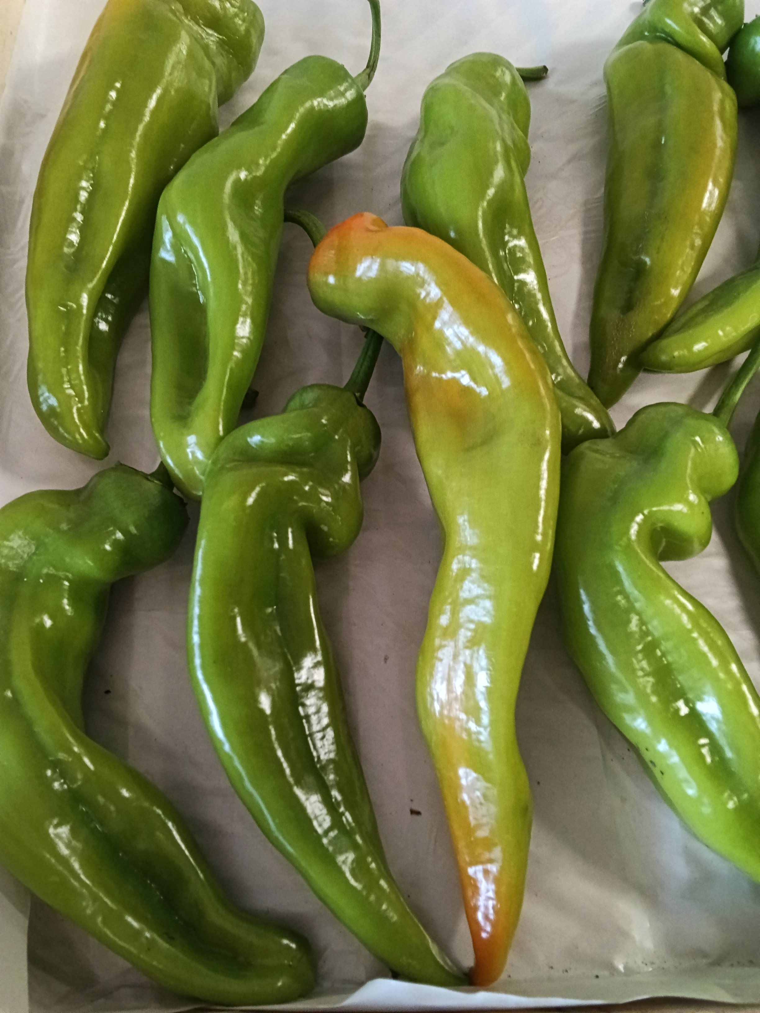 HEGYES ERŐS PAPRIKA