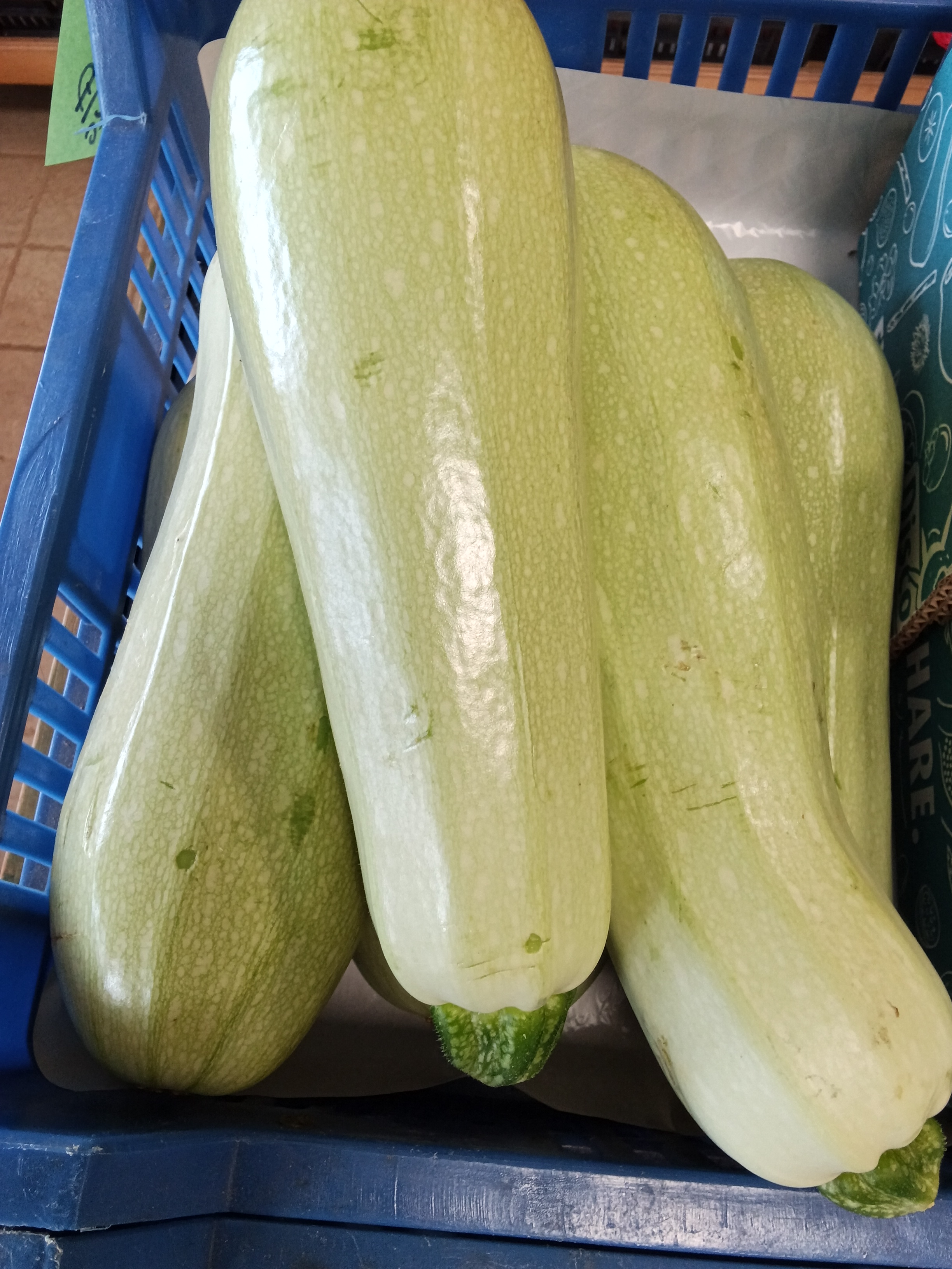 FŐZŐTÖK